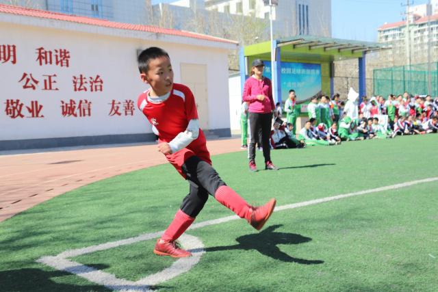 东契奇：医生告诉我需八周恢复 情况每天都在好转